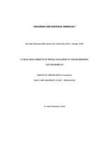 Imagining and Material Immediacy