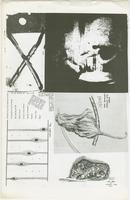 X Student Newsletter 1978, volume 2, issue 2