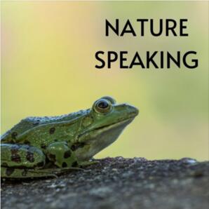 Nature Speaking: Frogs in BC