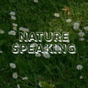 Nature Speaking: What Do You Hear?