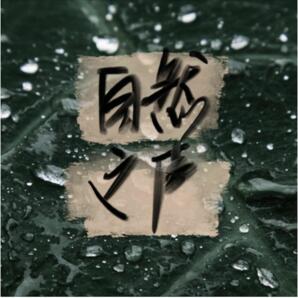 How Nature Has Spoken to You (Chinese Version)