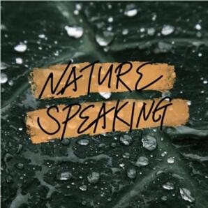How Nature Has Spoken to You (English version)