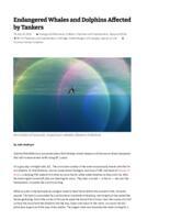 Endangered Whales and Dolphins Affected by Tankers