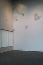Series of Hidden in Plain Site Installations 1/14
