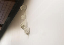 Series of Hidden in Plain Site Installations 6/14