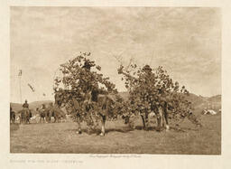 Boughs for the Altar - Cheyenne: 