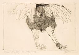 Eagle [Bird for Hippolytos]