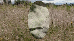 Shadow Dance in a Field, from Embodied Contemplation