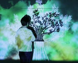 Tree of Life 2