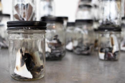 Dear Euodia, and Burnt Candles