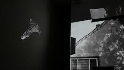 A Room for Projection and Reflection
