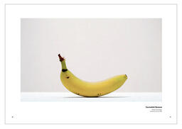 Museum of the Last Banana