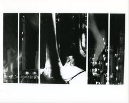 Grad show 1993.