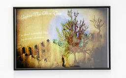 Under the Olive Tree