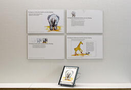 Installation view