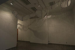 The Shadows of Webs