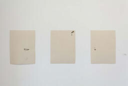 Species Series 1-4