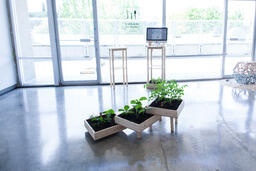 Urban Gardens Vancouver