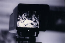 Video camera screen, circa 1992-1994.