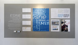ESRIE: a prototype for Generation Y