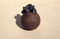 [Work by Marilyn Bercovich]