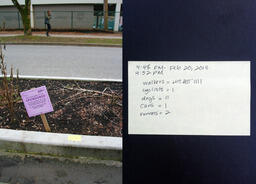 Walking & Writing