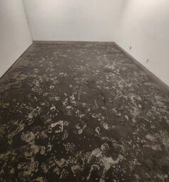 Untitled (20)