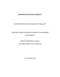 Imagining and Material Immediacy
