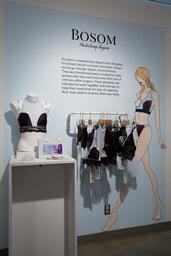Bosom: Masectomy Lingerie