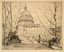 The Capitol - Washington: 