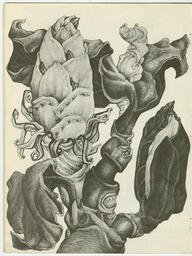 btp1946_1947-020