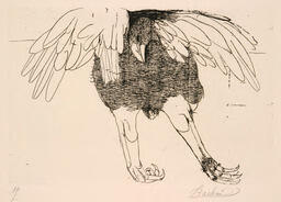Eagle [Bird for Hippolytos]: 