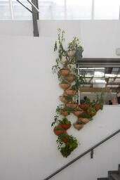 Growing Agricultural Architecture