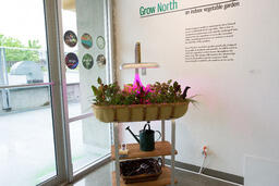 Grow North : an indoor vegetable garden