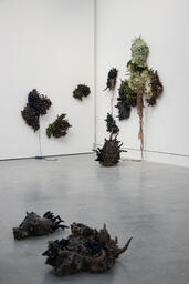 Between an Ecology and the Object