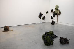 Between an Ecology and the Object