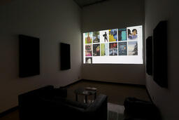 Installation view