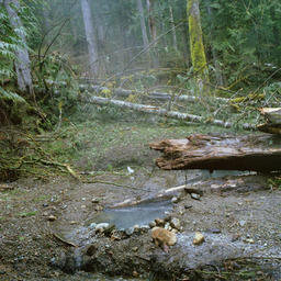 Baker Hot Spring