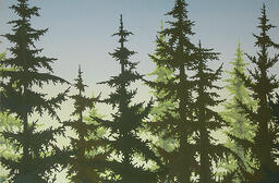 Sky and Trees