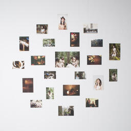 Celestial Collective