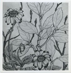 Floral drawing by Shirley Haskins, date unknown.