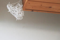 Series of Hidden in Plain Site Installations 4/14