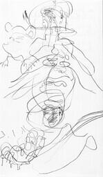 Sensory Drawing, Poke root, Kingston