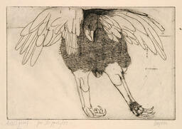 Eagle [Bird for Hippolytos]: 