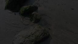 Above and Below the Shoreline at Wreck Beach: 