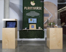 (Project) Plantiverse