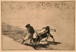 From the series Tauromaquia; No. 14 "El Diestrisimo Estudiante" - 'The very skillful student': 