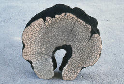 [Work by Jose Cawsey]