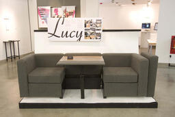 Lucy: Multifunctional Furniture for Urban Living