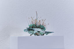 Interconnections I, microenvironment detail